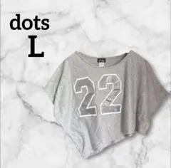 dots 【L】グレー クロップドトップス ナンバー22 半袖アシンメトリー