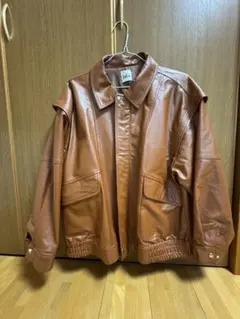 Item thumbnail for item 5e9f9238-0da9-424c-a48e-aca134192d51