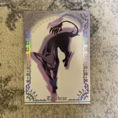 テイルズオブシンフォニア　ラタトクスの騎士　カード　テネブラエ　sp3