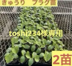 toshi234様 リクエスト 3点 まとめ商品