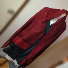 ペイズリー柄 赤いショール フリンジ付きパシュミナ 100%