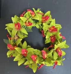 2025年最新】フラダンス ハクの人気アイテム - メルカリ