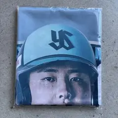 2025年最新】東京ヤクルトスワローズ ポスターの人気アイテム - メルカリ