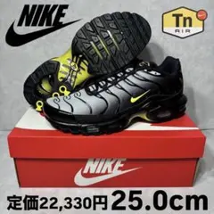2025年最新】Nike Air Max plus tiempo 