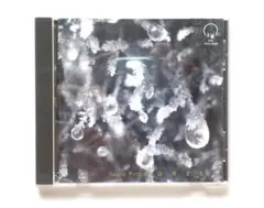 「Neutral Point」 FOREST