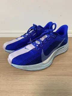 美品】NIKE PEGASUS PLUS CM ランニングシューズ 26cm - メルカリ