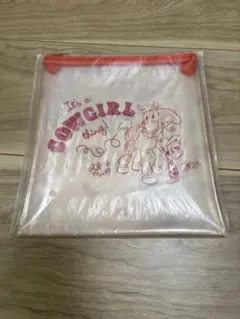 トイストーリー　フラットポーチ　ピクサーくじ