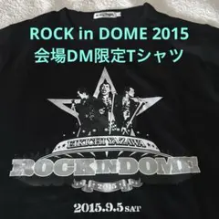 矢沢永吉、カンパニー トレーナー 矢沢永吉✦ E.YAZAWA✦トレーナー(logos)インクLsize