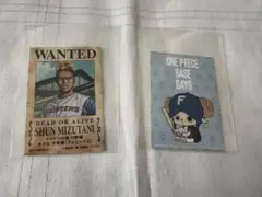 水谷瞬 WANTED ステッカー ファイターズ ワンピース コラボ チョッパー