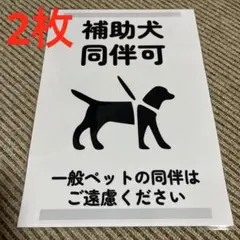 Item thumbnail for item 5995f3ad-d372-425d-9a6d-6b67a7212253