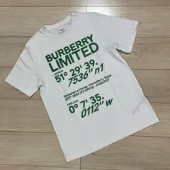 ［美品、訳あり］バーバリー　ロゴTシャツのサムネイル