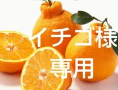 イチゴ様専用です。