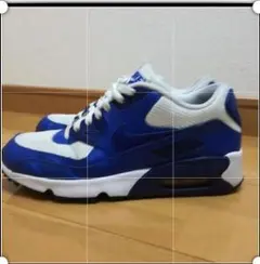 NIKE AIR MAX90 メッシュ×青