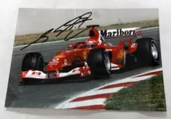 シューマッハ（サイン付き）　F1模型 シューマッハ（サイン付き） F1模型 シューマッハ（サイン付き） F1