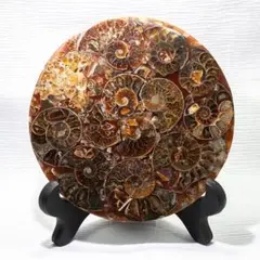 ロダンコイル プレート 直径16センチ 金運 - メルカリ