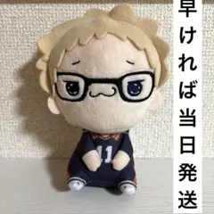 ハイキュー!!もちぴこぬいぐるみ　月島蛍