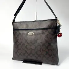 美品 COACH コーチ ショルダーバッグ シグネチャー レザー F34938