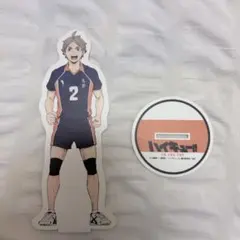 ハイキュー!!菅原孝支 紙製スタンド約20cm
