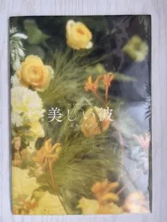 美しい彼 エターナル パンフレット おまけ付き