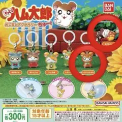 とっとこハム太郎めじるしアクセサリー　トラハムちゃん ねてるくん