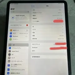 Apple iPad PROシルバー 本体