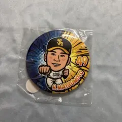 若鷹ガチャ 缶バッジ 松本晴 49