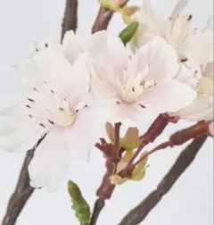 チャコ様 リクエスト 2点 まとめ商品