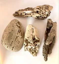 値下げ！【天然流木】穴あき流木 4本セット アクアリウム・爬虫類・インテリア用のサムネイル