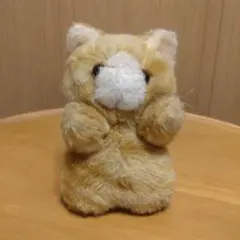 2025年最新】子猫物語 ぬいぐるみの人気アイテム - メルカリ