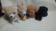 犬ぬいぐるみ　4個セット　こ851