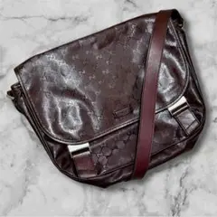 Item thumbnail for item 49bcc432-caa0-4230-936d-c324d70ea377