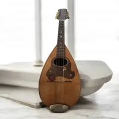 2025年最新】suzuki マンドリンの人気アイテム - メルカリ