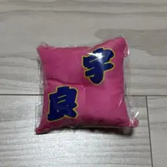 宇良⭐︎ミニ座布団⭐︎大相撲ガチャ⭐︎新品未使用未開封⭐︎座布団⭐︎大人気