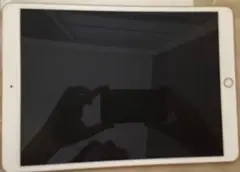 Apple iPad Pro 10.5インチ Wi-Fiモデル 256GB