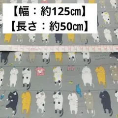 ねこ 猫 キャット プリント 生地 布 グレー
