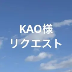 KAO様 リクエスト 2点 まとめ商品