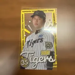 【才木浩人選手】阪神タイガース フォトカード