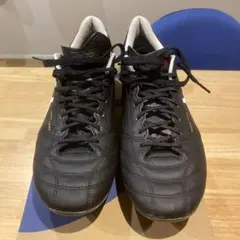 ASICS DS LIGHT X-FLY4
