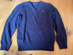 Item thumbnail for item 76049fa4-1513-4afa-b2f2-14121eb090bf