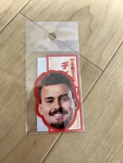 千葉ジェッツ DJホグ シール