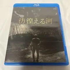 新品未開封・廃盤】Blu-ray ホーリー・モーターズ('12仏/独) - メルカリ