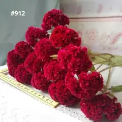 ☆912 ケイトウ ドライフラワー 赤 15本