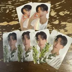 17 is right here CARAT盤　ドギョム