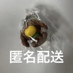 お茶犬　チョコボーロ　カフェ