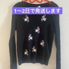 H&M 刺繍ニット(伸縮性あり)