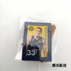 宇都宮ブレックス2025-26選手ミニチュアアートイーゼルギャビンエドワーズ選手