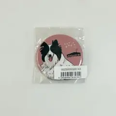 【新品未開封】sumika いろは　缶バッジ