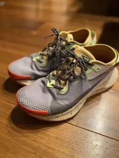 ペガサストレイル2GORE-TEX