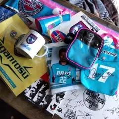 【激レア】サガン鳥栖Jリーグ加盟時グッズ詰め合わせ(14点)