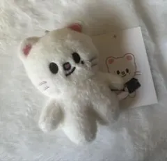 ジニレット アイドル